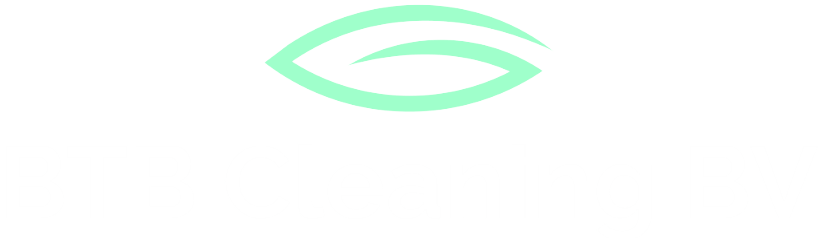 BTB Cleaning logo